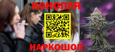 прущие крисы Нальчик