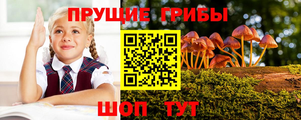 Галлюциногенные грибы Cubensis  Вход с VPN  где найти   Галлюциногенные грибы Psilocybe  Энгельс 